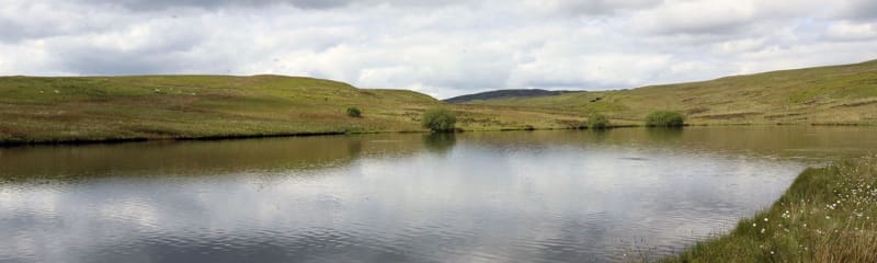 mobile - LLyn mobile - LLyn